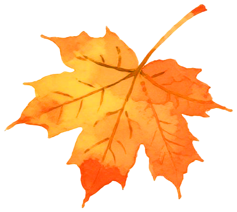 style, gtimg, gtimg style, gtimg, gtimg