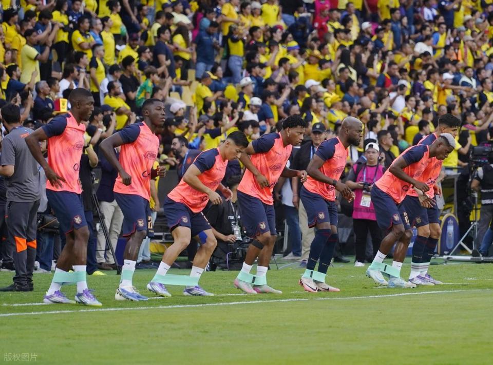 仅为, AA 仅为, AA